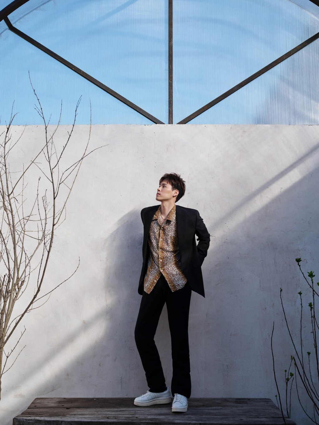 男明星宫廷风男西装搭配,最新男明星穿搭