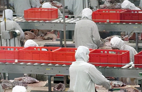 2020中国食品饮料品牌排行榜,中国食品饮料100强企业