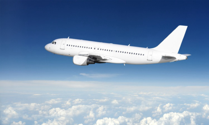 所有动物都会进化,所有的动物都进化吗