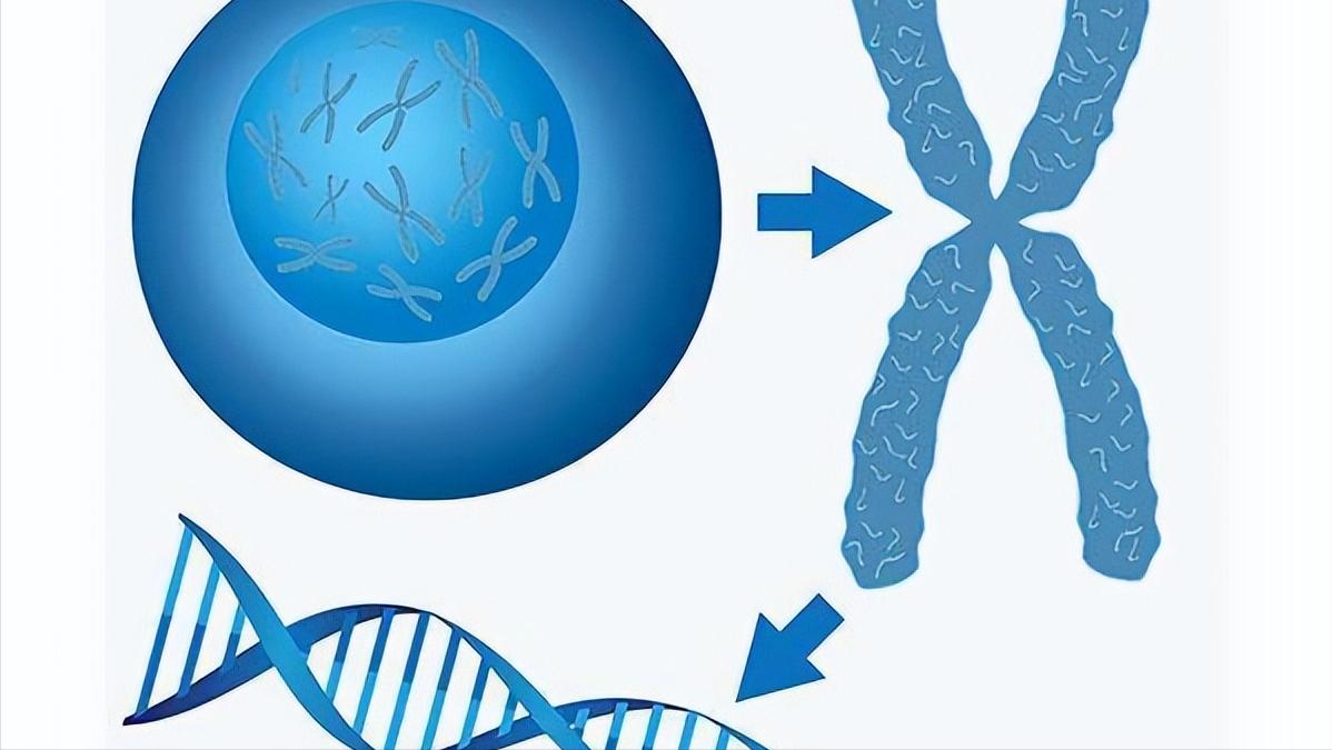 “下面”毛毛有啥用，刮掉会怎样？分析完这些情况，你就明白了