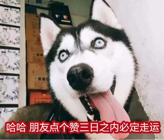 女主管换了新电脑，她把旧的送给了我，我抬回家打开影库