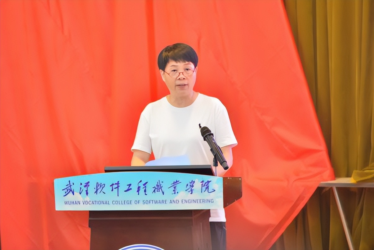 武汉表彰大会,武汉软件工程职业学院优秀学子