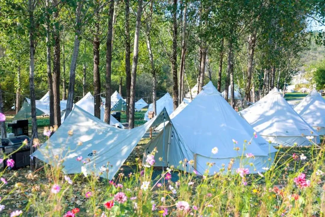 合作共赢！日光域百村振兴计划成渝首发第一村——新津九莲·慵也谷项目招商启动