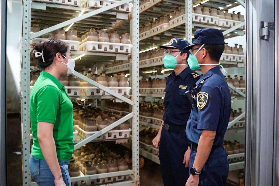 昆明海关促外贸稳增长,最新云南昆明海关消息