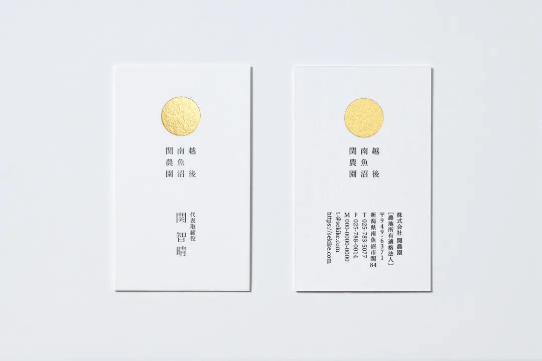 闀囨睙澶х背鍖呰璁捐,澶х背鍖呰璁捐娴欐睙