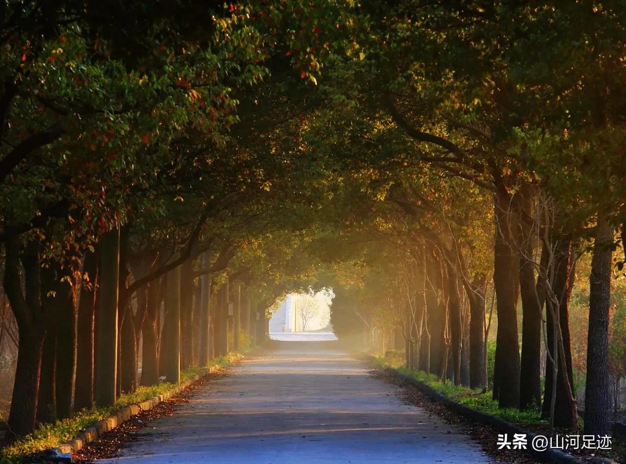 黄桥二氧化碳气田怎么发现的,黄桥二氧化碳气田开发了吗