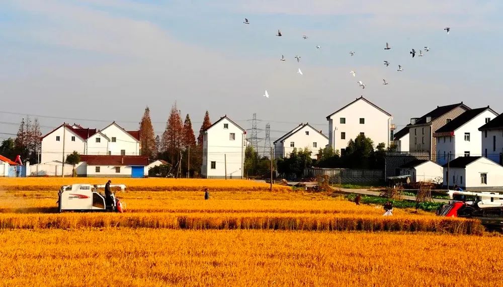 农村土地征收地上附着物怎么处理,农村拆迁土地怎么处理