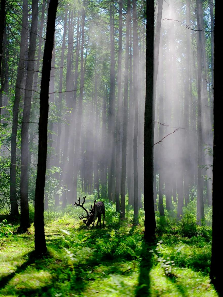 向北向北！|“美”在内蒙古