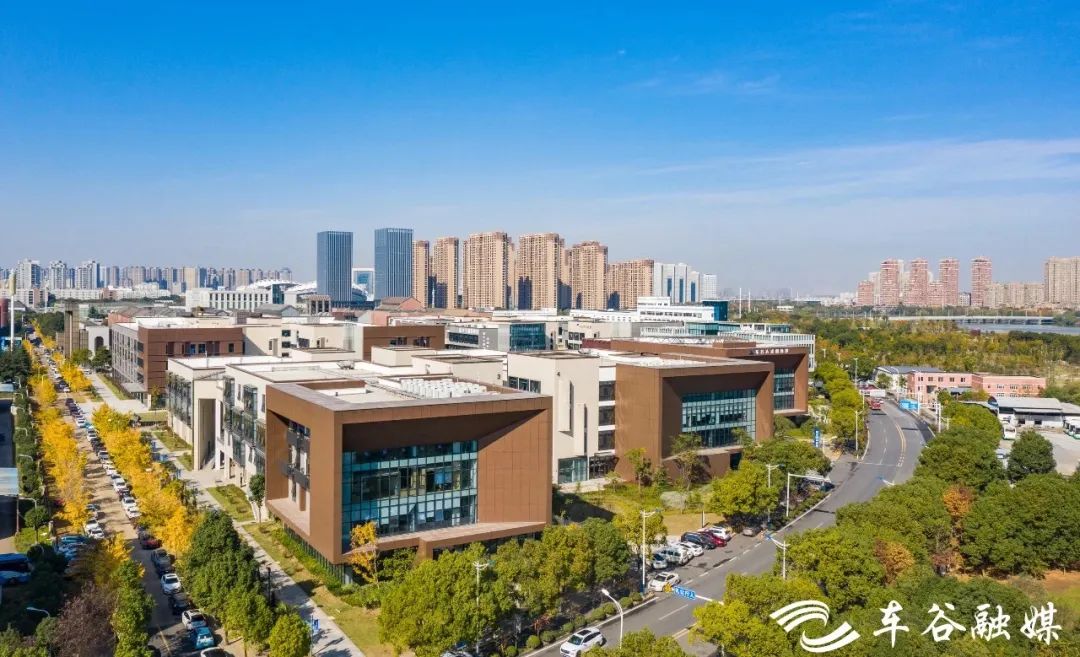 全市首批！南太子湖创新谷获市级创新街区认定