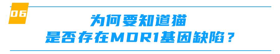 mdr1基因缺失什么意思,mdr1a怎么样