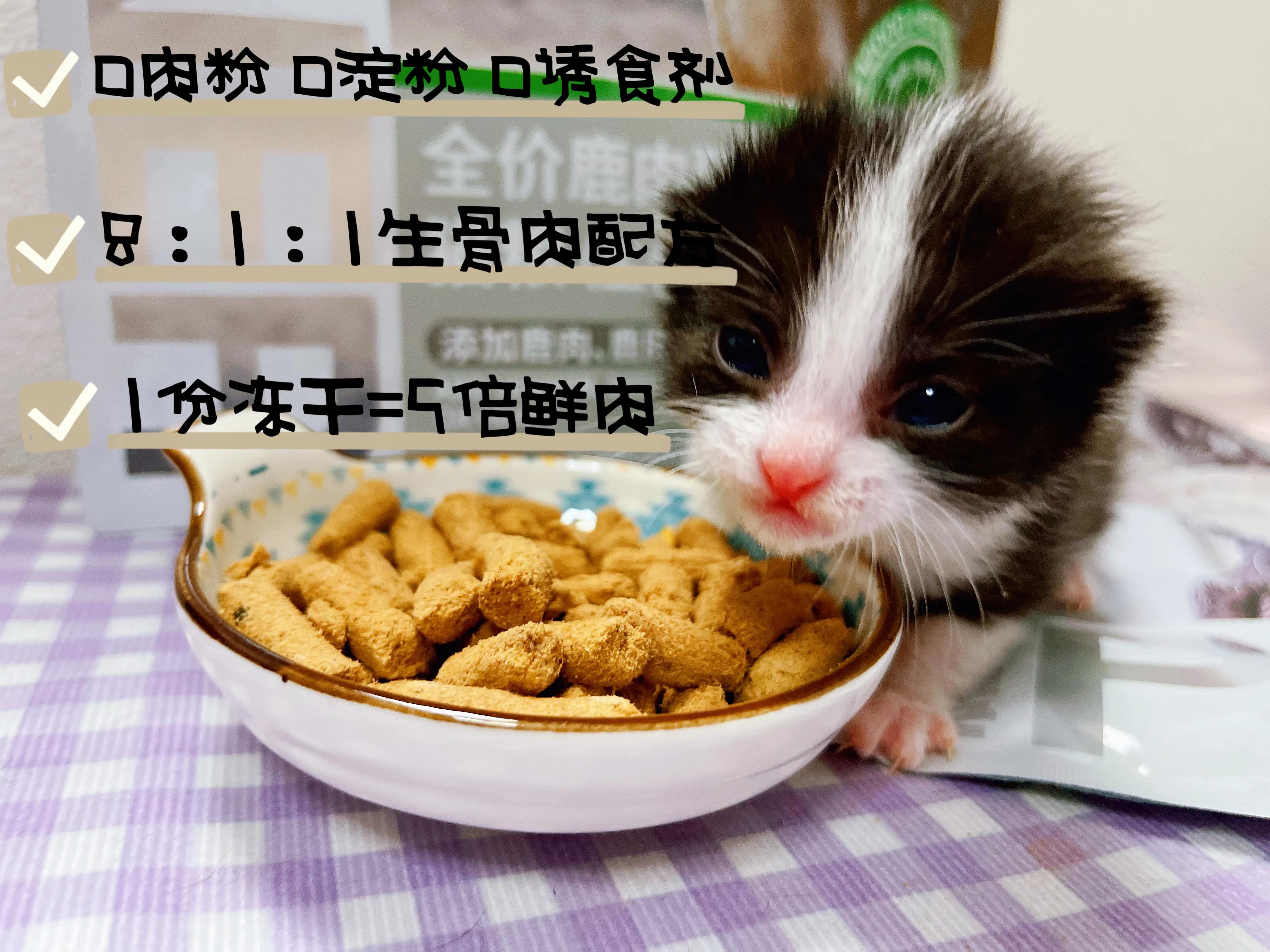 国货之光丨这次跟着买就对了