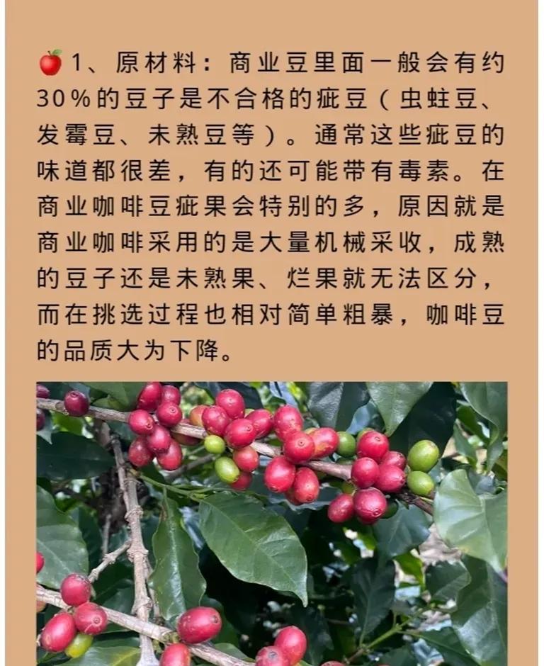 不懂咖啡的人该选择什么星巴克,星巴克为什么吸引人不喝咖啡