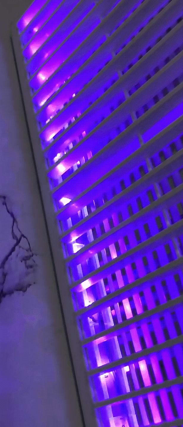 求求你们，别再买这15种小家电了，再买储物间都放不下了