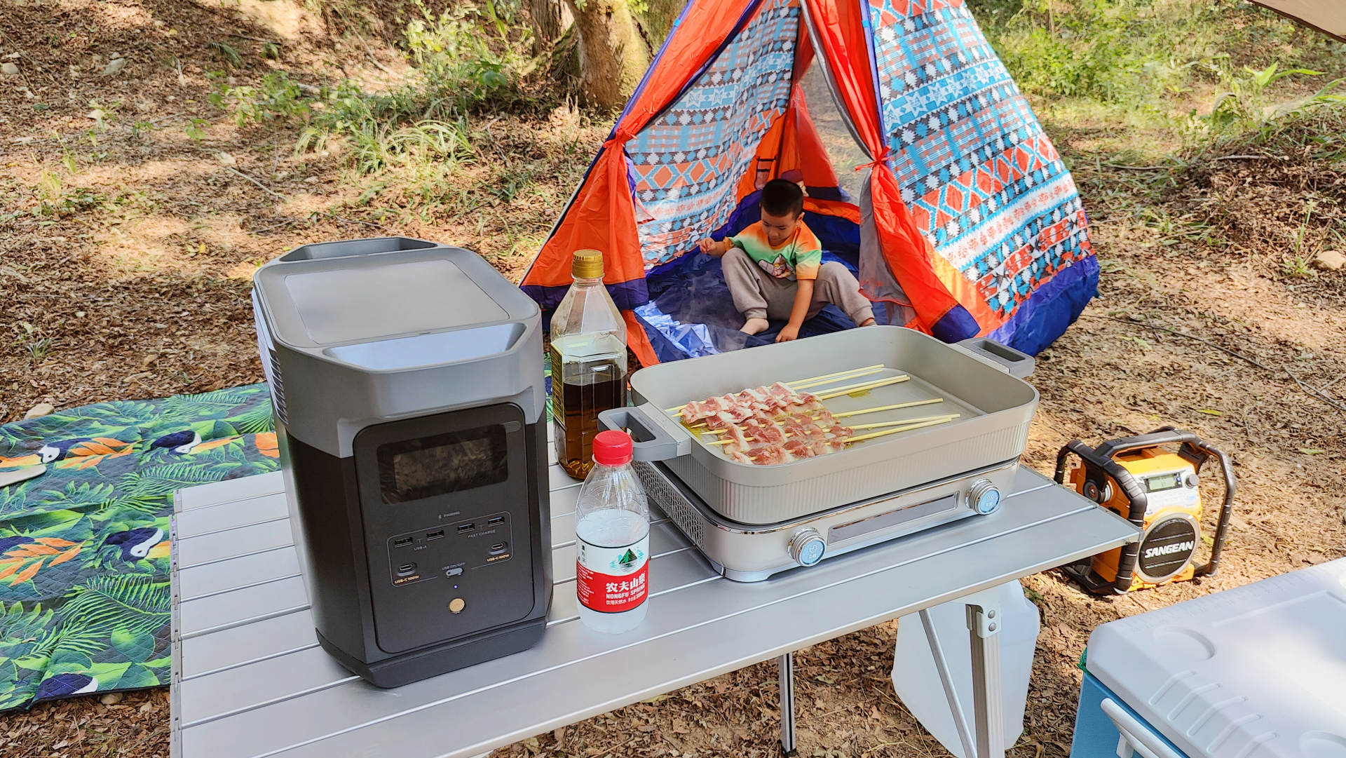 delta2户外电源,正浩户外电源delta2代