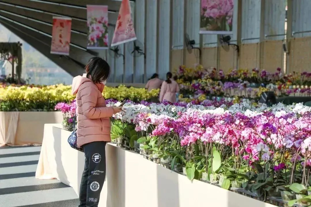 从化天人山水二日游,从化天人山水一日游攻略