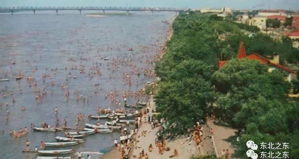 80年代的哈尔滨你还记得吗,哈尔滨70年代视频