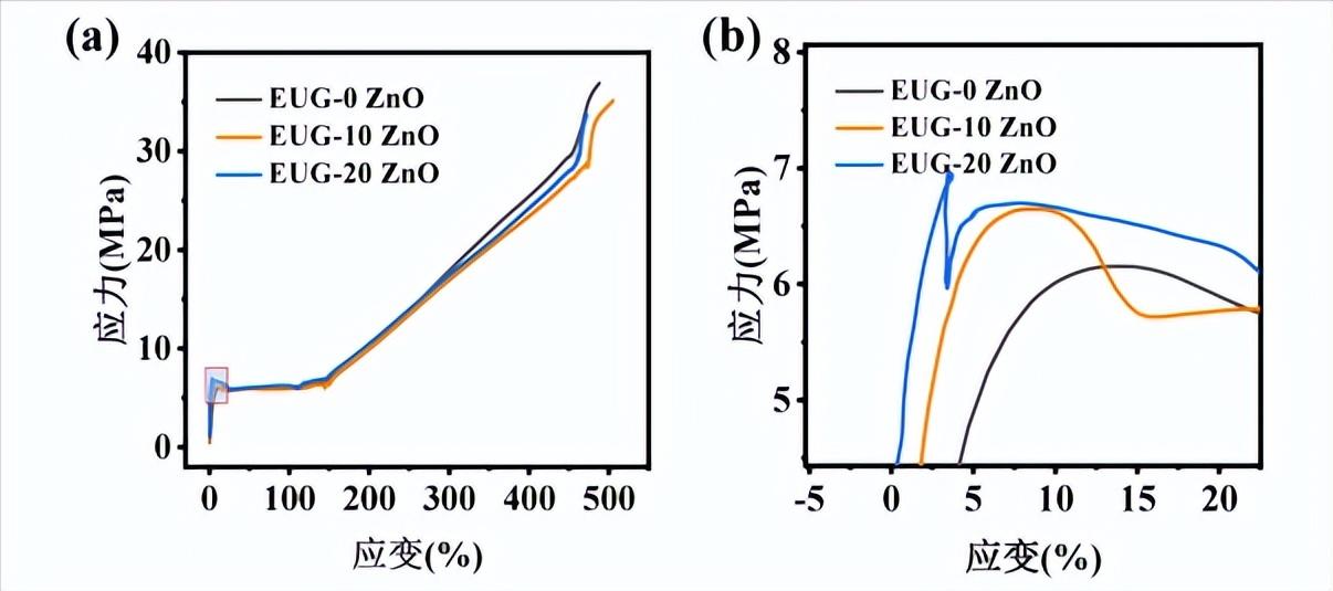 杜仲胶耐磨,杜仲胶简介