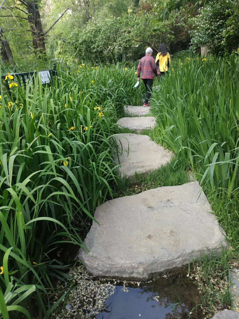 母亲的味道阅读理解及答案,母亲的味道韩剧全集播放