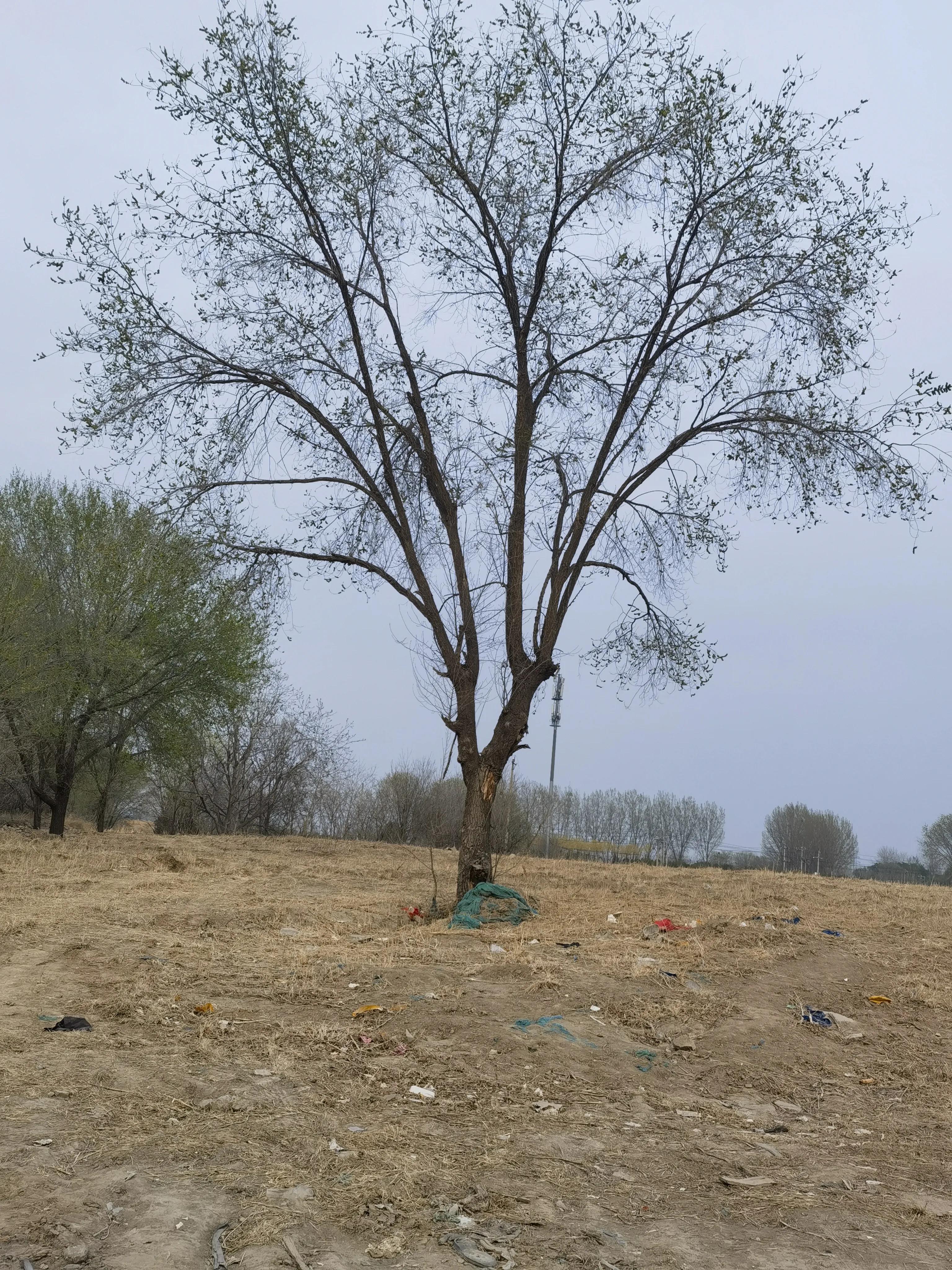 县直机关事业编中级工资多少,2022年事业单位工资标准表及调整