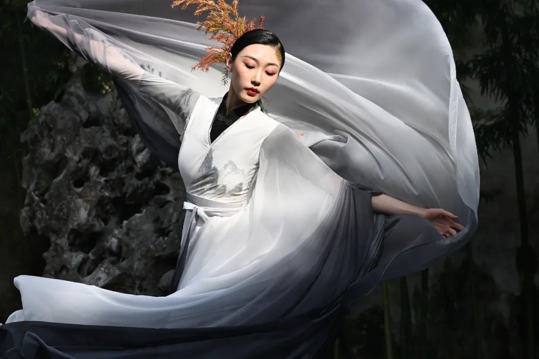 z9对焦测评,z9如何提高预拍的对焦精准