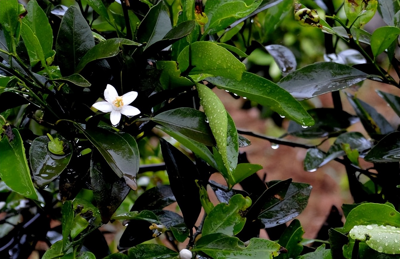 宣恩一座小城,湖北宣恩美丽的小城