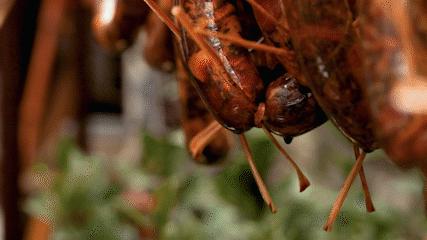 鲁迅先生最爱吃的美食,鲁迅十大必吃美食