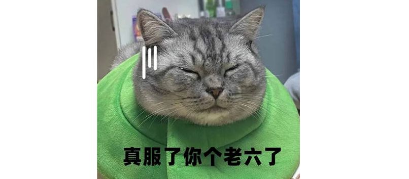 翻译学习|2022年十大网络流行语的英文表达