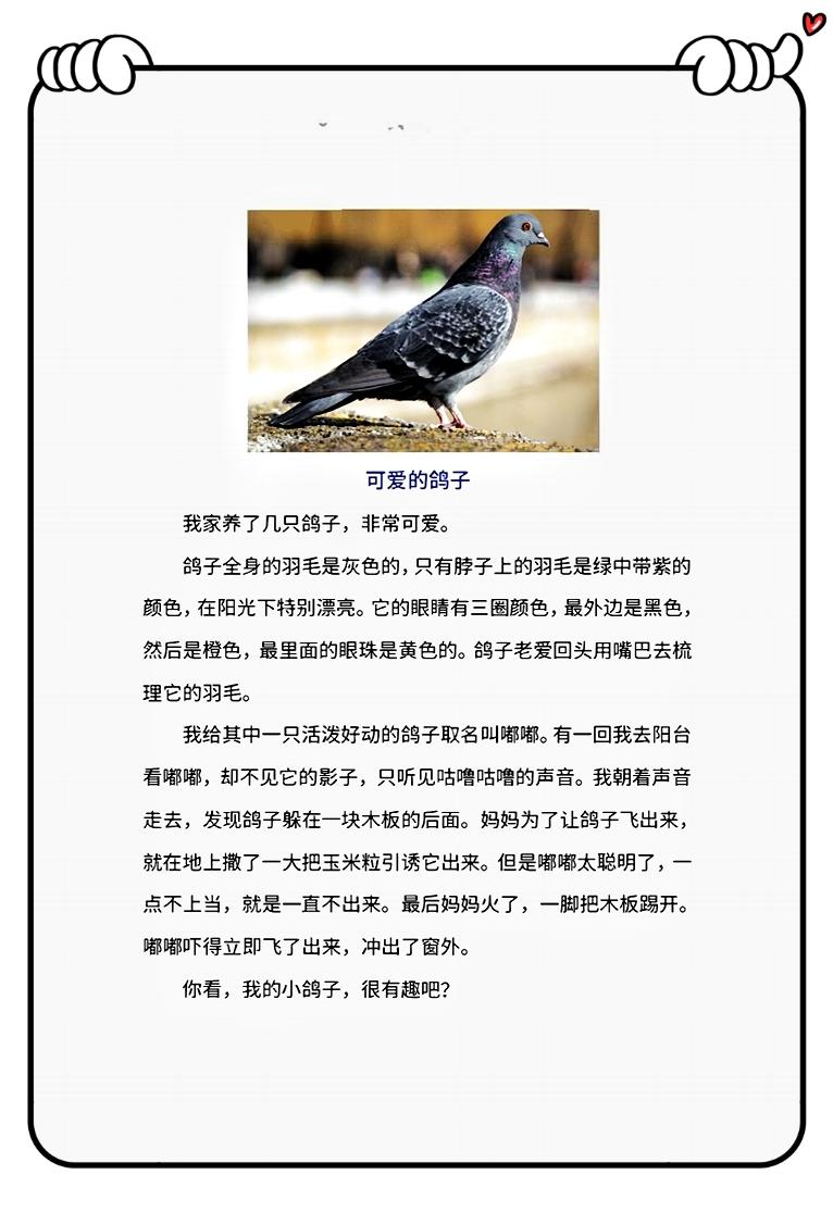 二年级下册我想养一只小动物作文,二年级语文我最喜欢的小动物写话