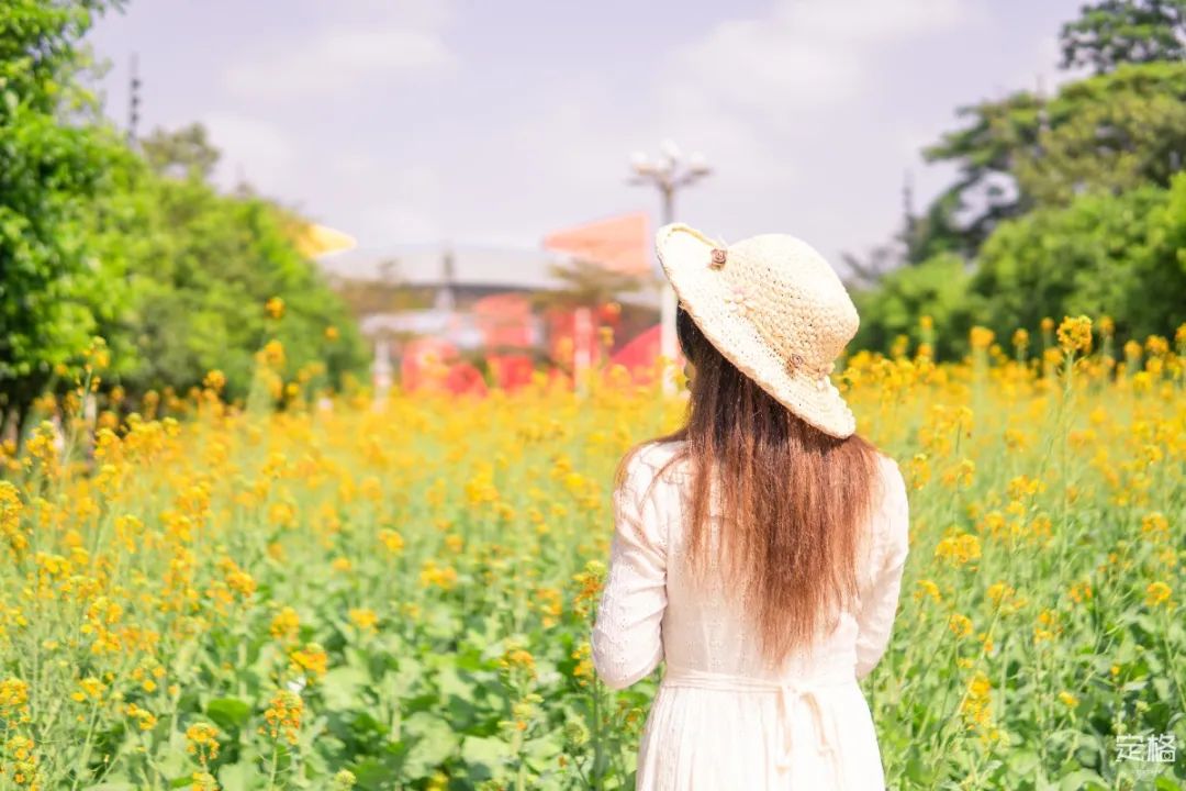 4号线值得逛的地方,16号线的游玩攻略