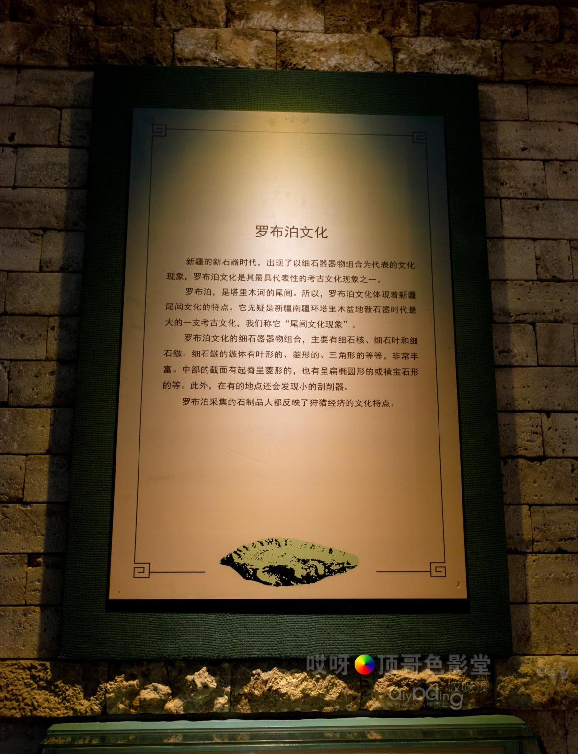 女司机带娃去新疆自驾游,带着女司机自驾游兰州