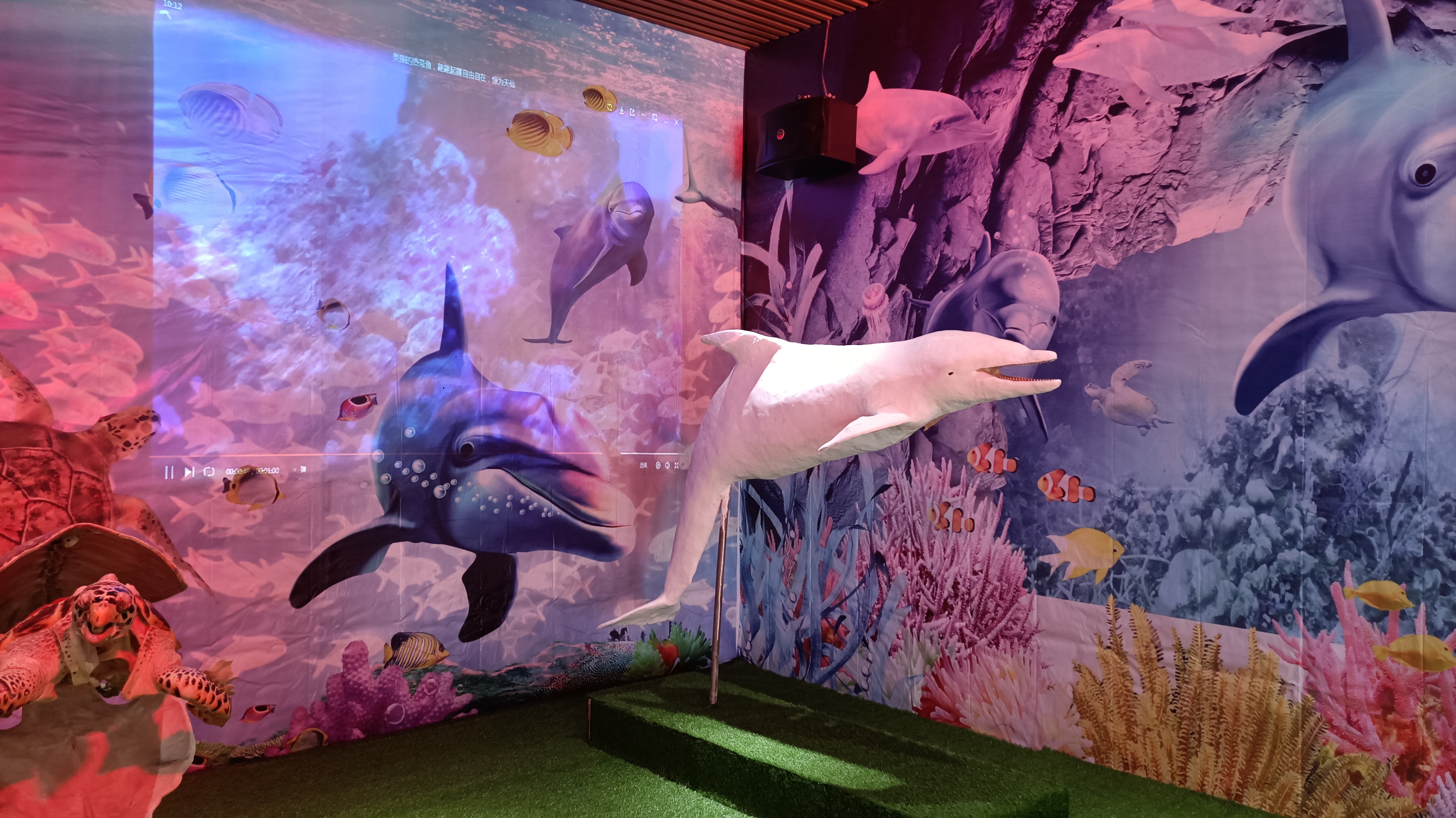 郑州踏青赏花全攻略,郑州最适合踏青赏花的地方