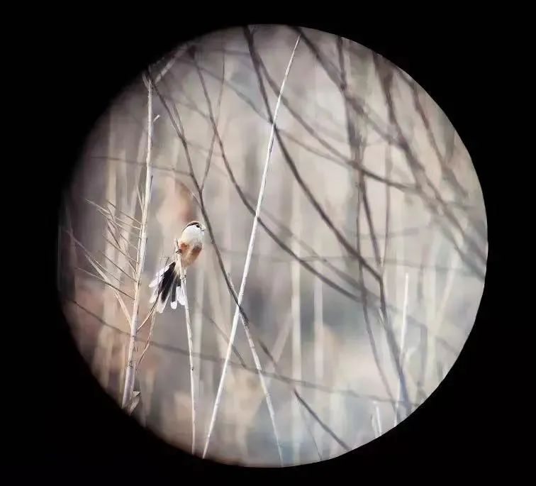 2022江阴,2022见证百年奋斗