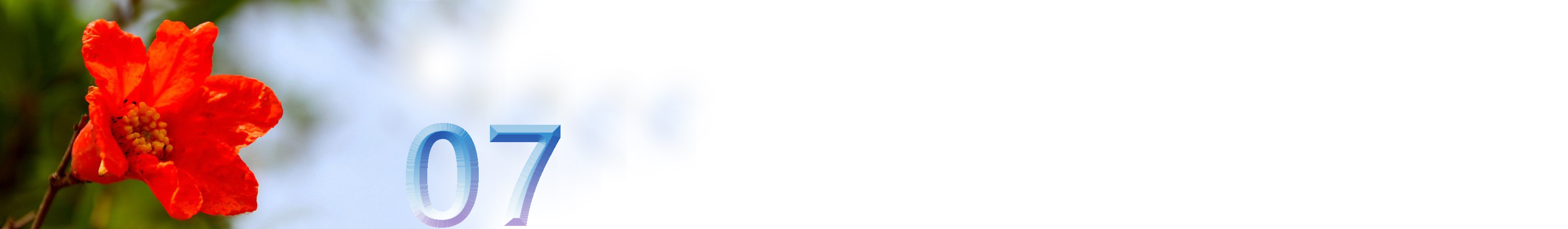 五月石榴花开的唯美诗句,关于石榴花的美文和诗句