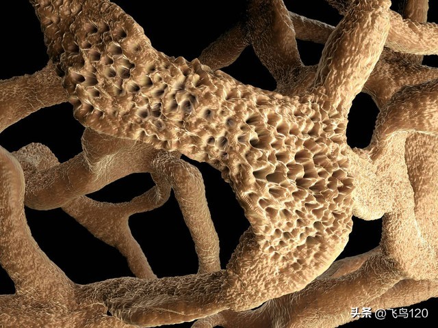 腰摔断了三年还能伤残鉴定吗,腰摔断了脚也摔断了能赔付多少钱