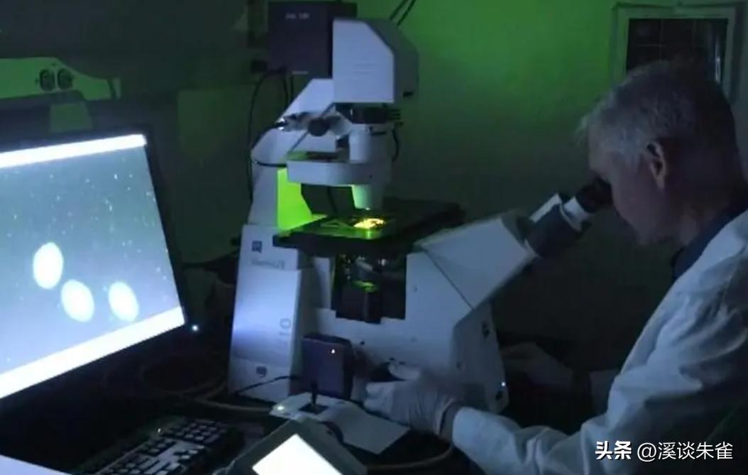 牛流行性腹泻疫苗免疫结果,肠道病毒疫苗终身受益吗