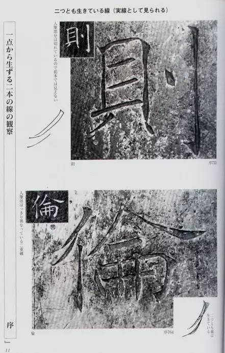 宸ョ瑪鐢绘潹鏅箟鐢诲唽,鏉滈箖鏉ㄦ櫘涔夊畬鏁寸増