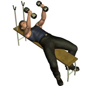 胸肌中缝太宽怎么用哑铃练,胸肌中缝太宽了有的时候还会痛