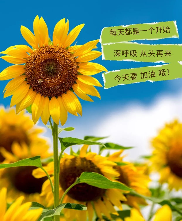 售房资金监管政策,买房老婆不同意怎么说服