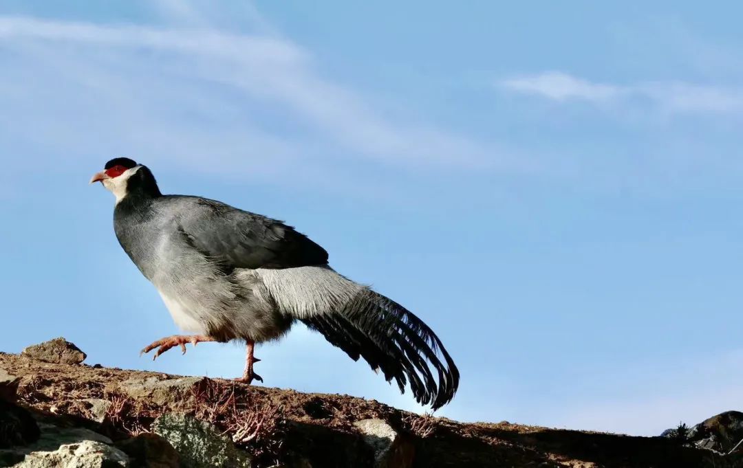七月中国美如画，夏日避暑五十处