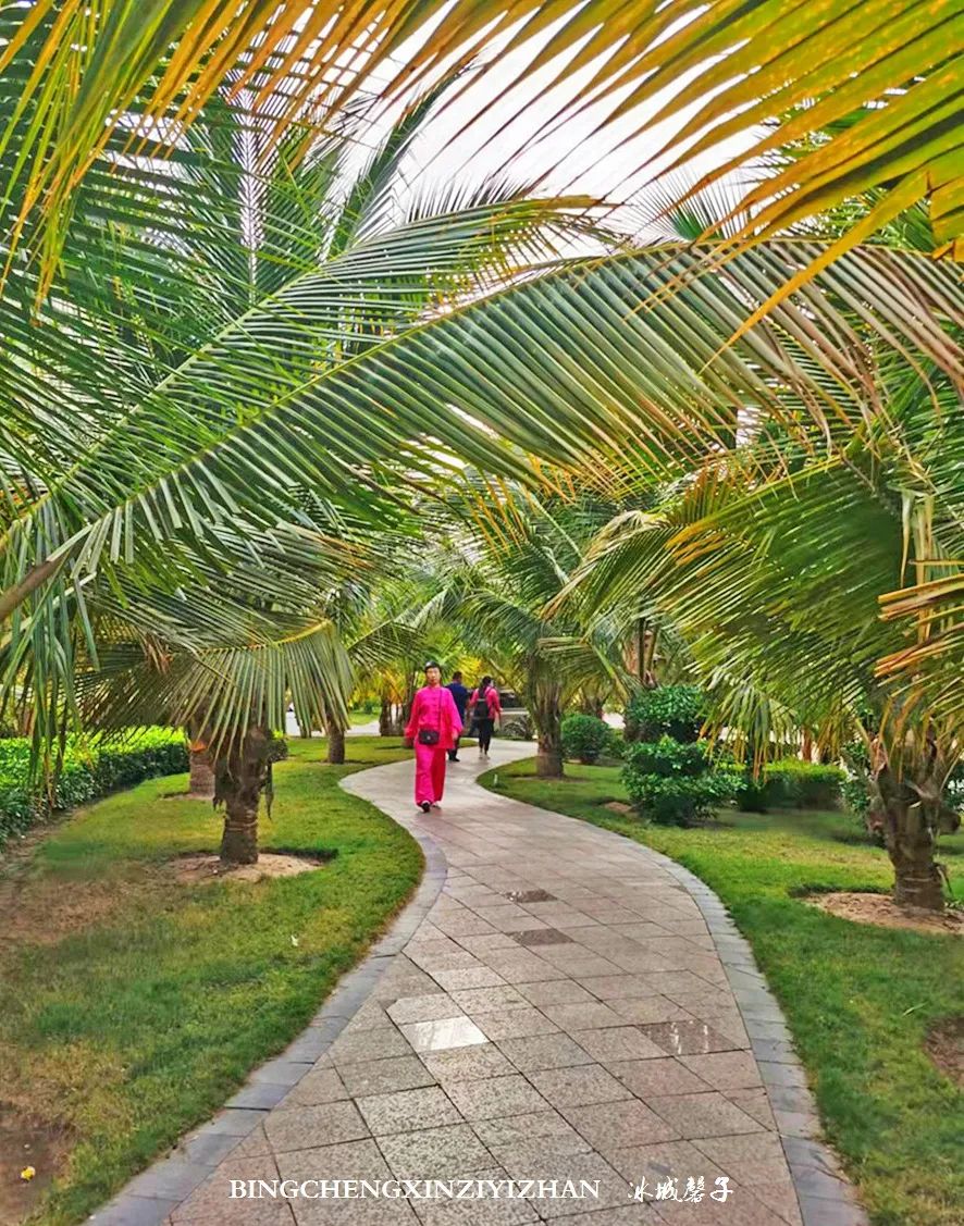 旅居海南：九所新区的浪漫情