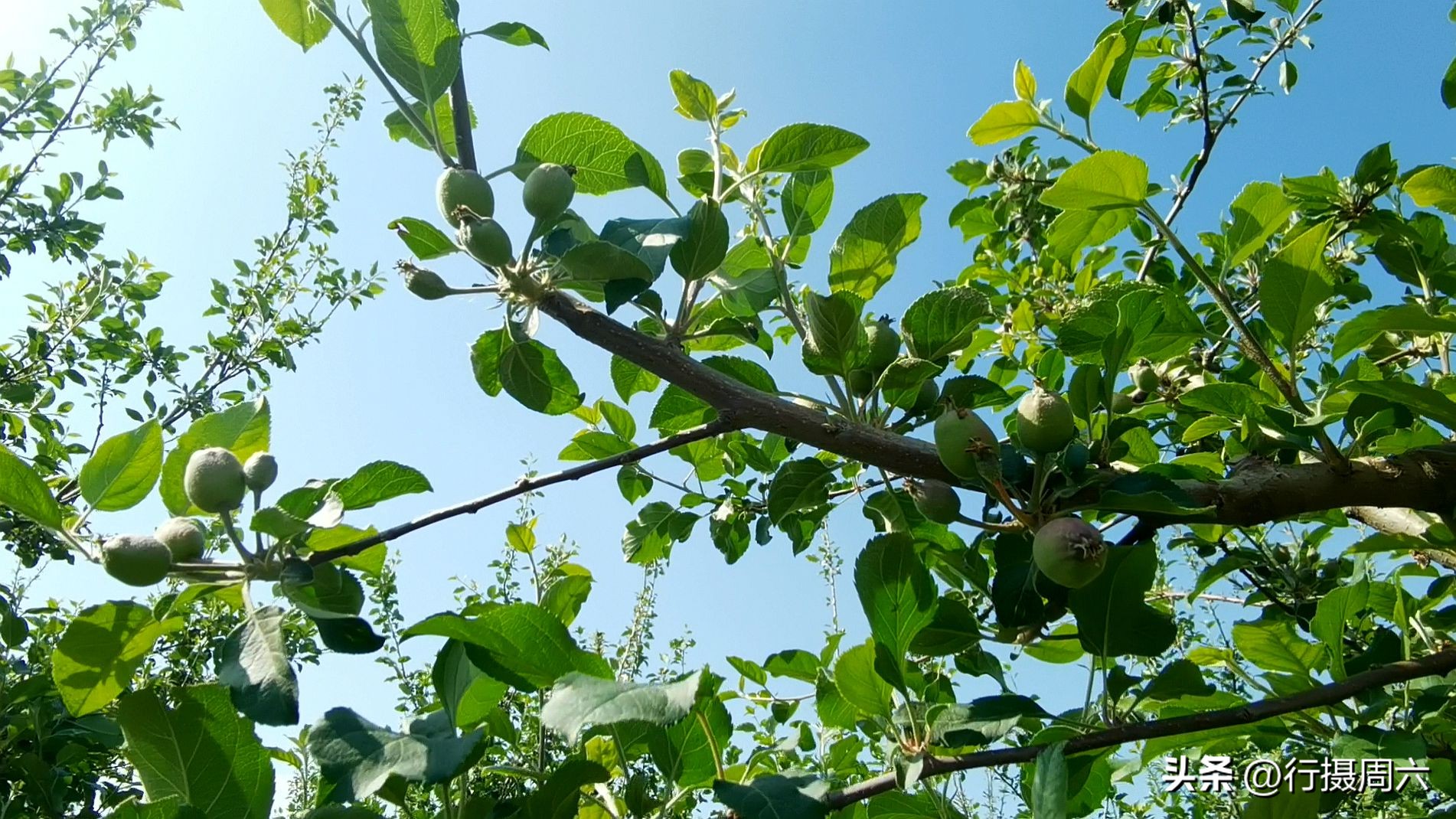 农民大爷干“锯业”20年找到致富路，家庭小厂年销售200万元