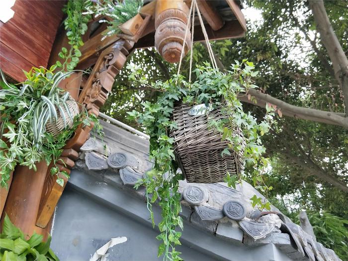 90后小伙回农场投资百万种果园,70后大叔创造奇迹种地赚100万