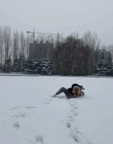 如果有一天，我的宠物不在了，怎么办？