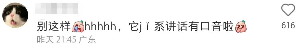 鸭屎香改名叫什么,鸭喜香轻乳茶喜茶好不好喝