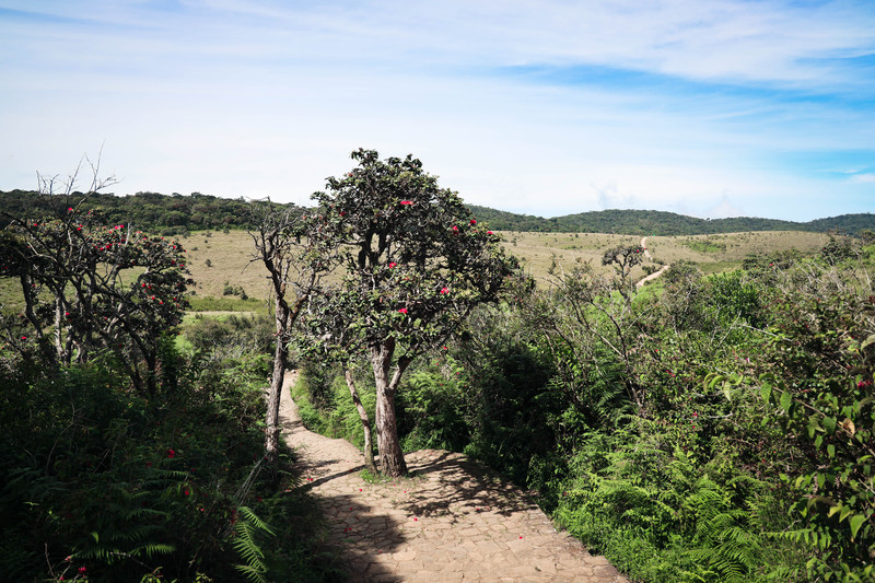 斯里兰卡旅游攻略必去景点,斯里兰卡旅游攻略最佳时间