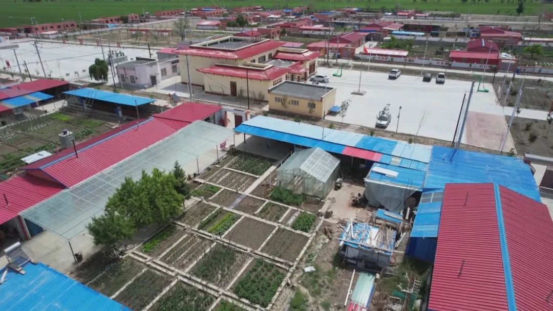 八十七团七连：“无土栽培”日光温室推动庭院经济提质增效