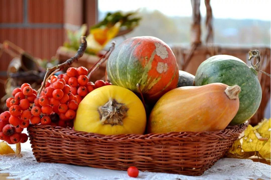 隔夜菜到底能不能吃实验结果出来,隔夜菜能吃吗30种实验结果