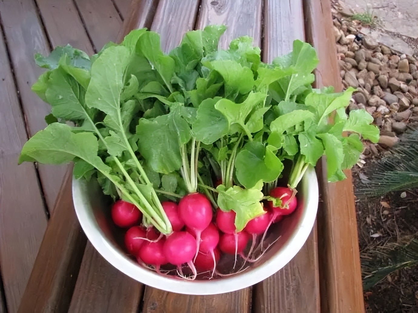 阳台夏天种这六种菜,阳台种花种菜需要几个小时的光照