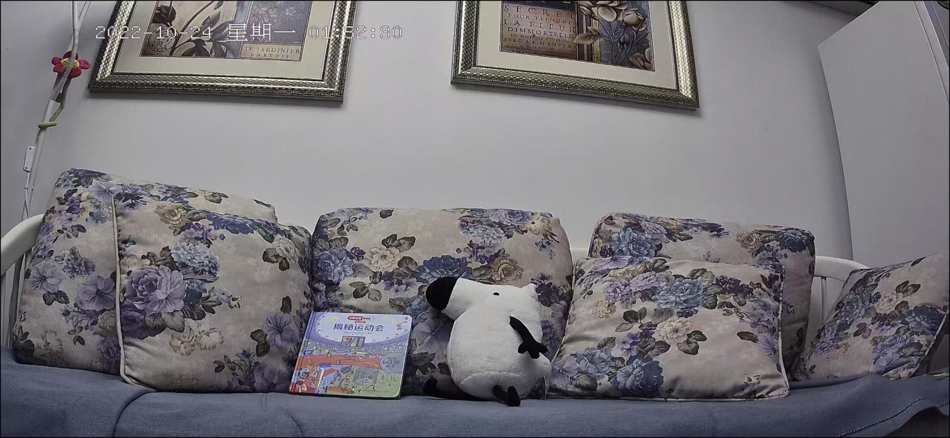 最新家用摄像头功能介绍,家用摄像头安全性排名