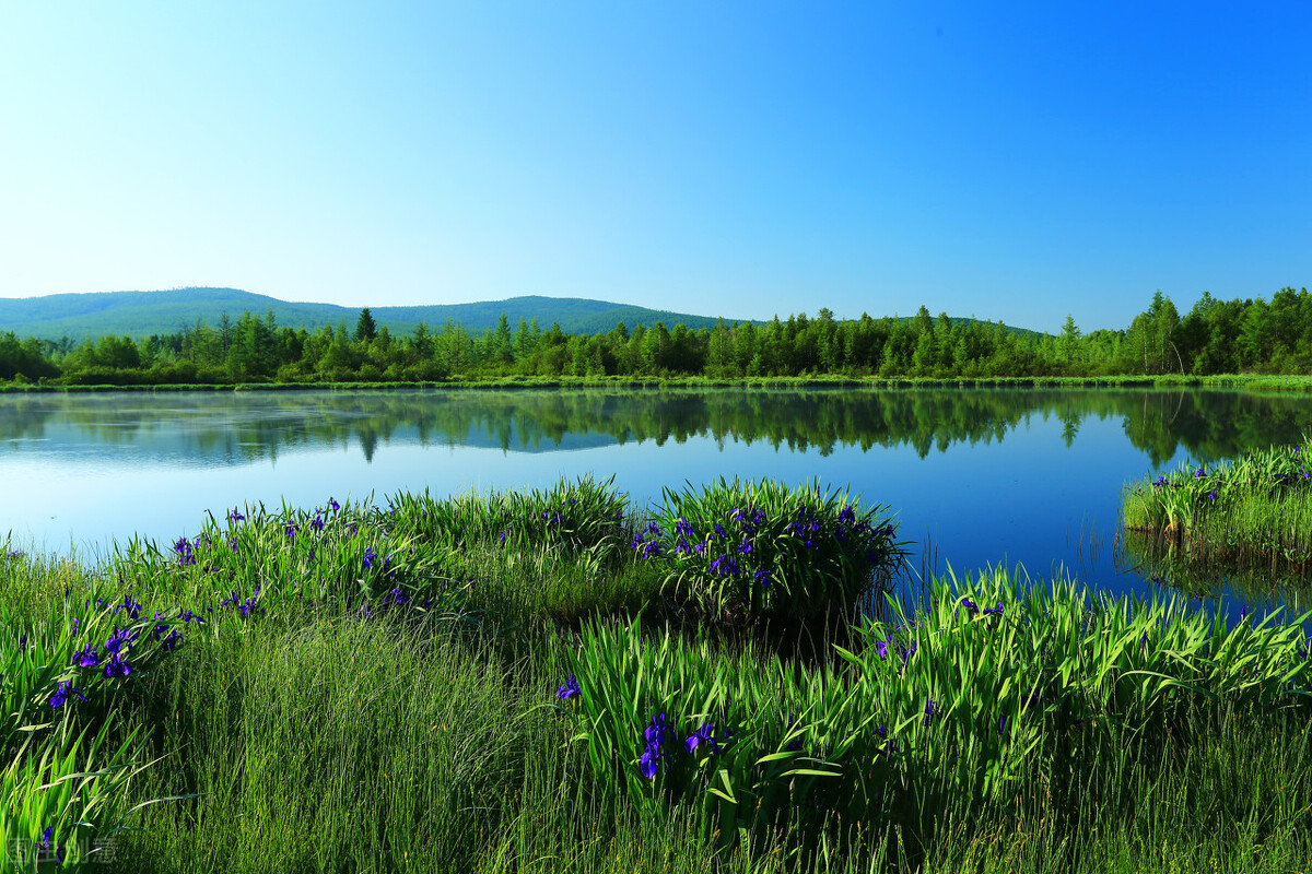 沟通时如何掌握对方重点,沟通的方法和技巧